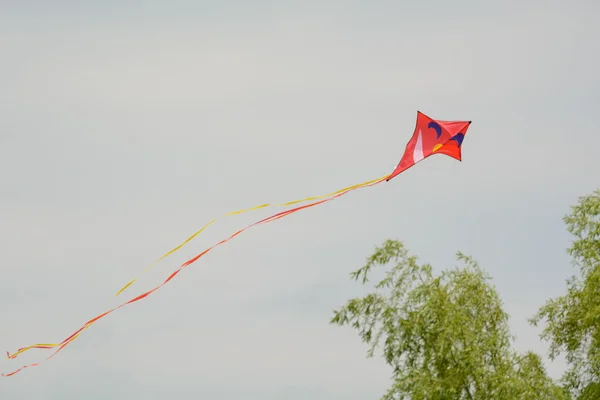 Drachen fliegen im Wind — Stockfoto