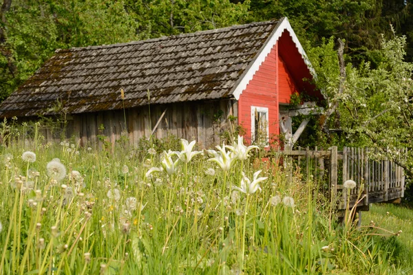 Idyllisk trädgård hus med terrass — Stockfoto