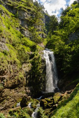 şelale - Avusturya ile pastoral manzara