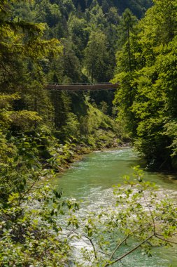Dağ nehir ve yaya köprüsü - Avusturya
