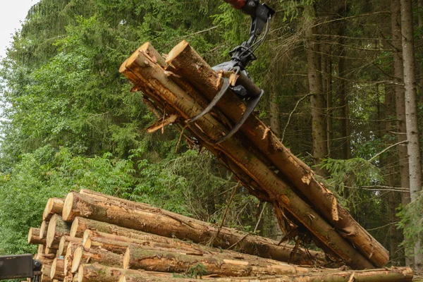 Kerek fa szállítására terhelés — Stock Fotó