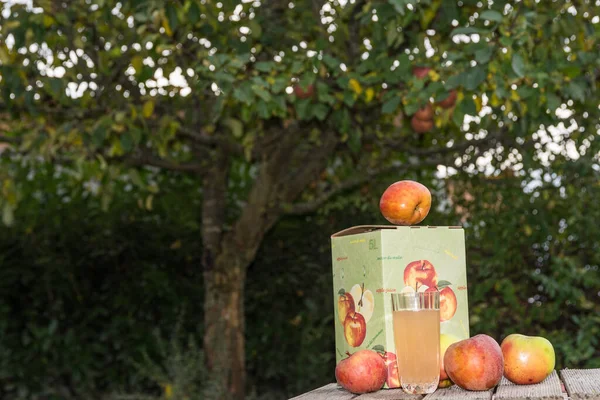 Genießen Sie Naturtrüben Apfelsaft Mit Frischen Äpfeln Garten — Stockfoto