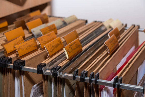 System in the archive with hanging files for data collection and filing