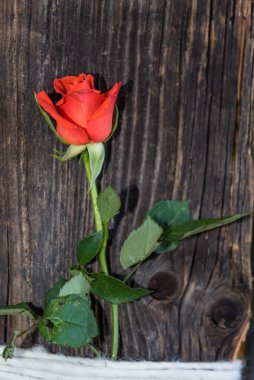 Ev yapımı dekorasyon ve kırsal hediye. Tahta bir tahtanın üzerinde gül.