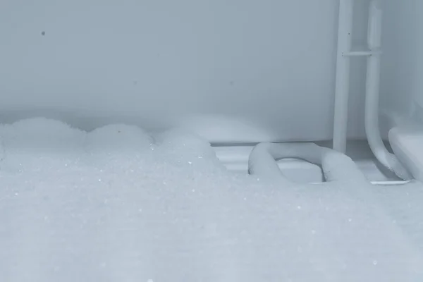 Бытовая Техника Морозильной Камерой Морозильная Система Качестве Силового Кабана Крупный — стоковое фото