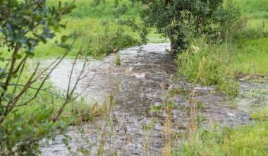 Bir akarsu fırtınasından sonra sel ve su baskını