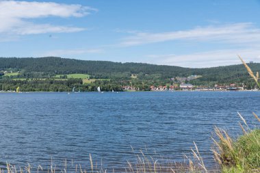 Bohemian Ormanı 'ndaki Lipno rezervuarı - doğa koruma alanı Vltava Gölü