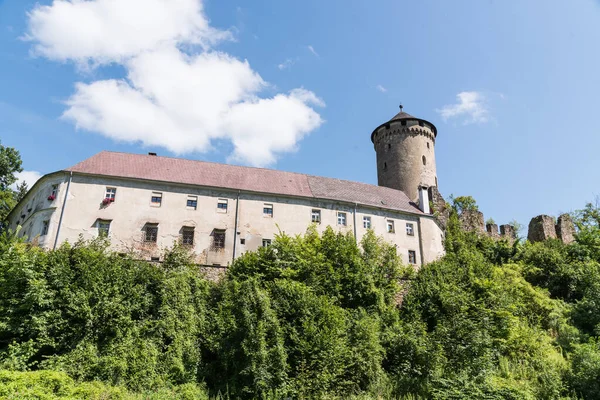 Руины Замка Замок Вильдберг Историческое Здание Австрия — стоковое фото