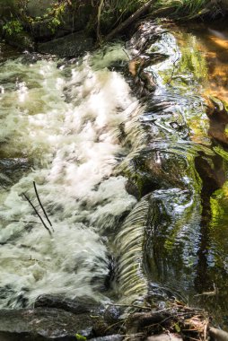 Ormandaki azgın bir derenin küçük şelalesi - doğal güzellik