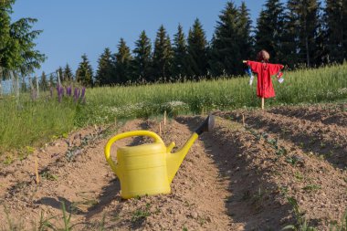 tarım arazileri sahada komik korkuluk
