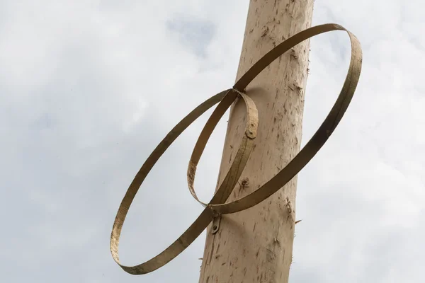 Dos anillos simbólicos en el árbol de madera — Foto de Stock