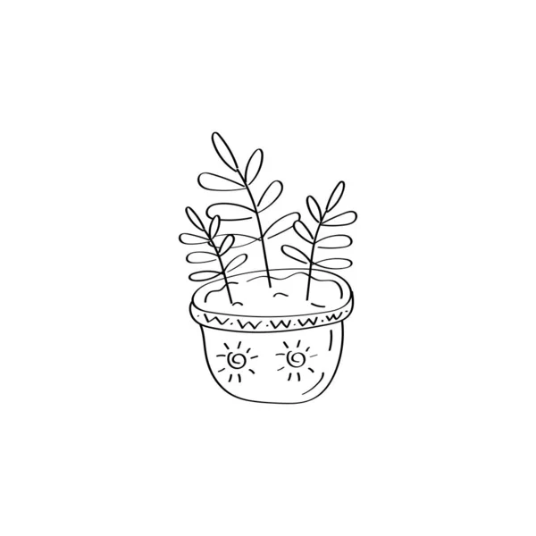 Plante maison. Fleurs en pot. Icône Ficus. Illustration vectorielle dessinée à la main — Image vectorielle