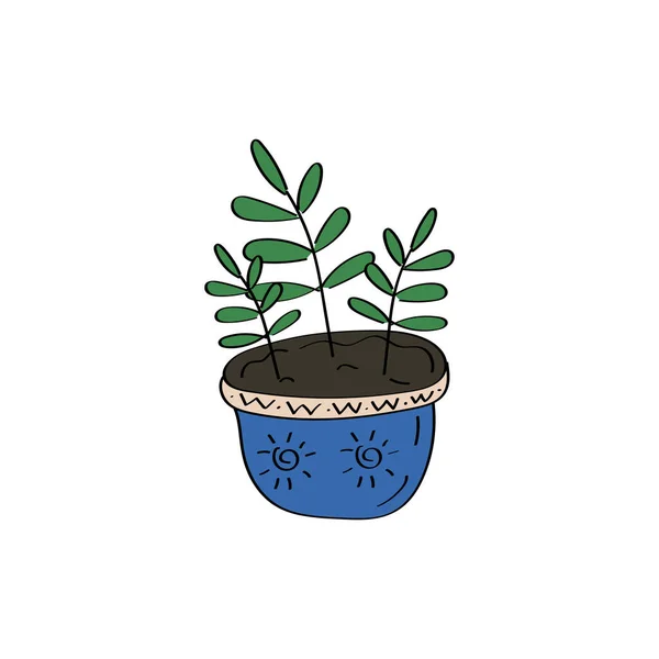 Impianto di casa. Fiori in vaso. Icona di Ficus. Illustrazione doodle vettoriale disegnata a mano — Vettoriale Stock