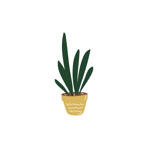 Sinal de sansevieria. Planta. Flores em vaso. ilustração do doodle vetor desenhado à mão — Vetor de Stock