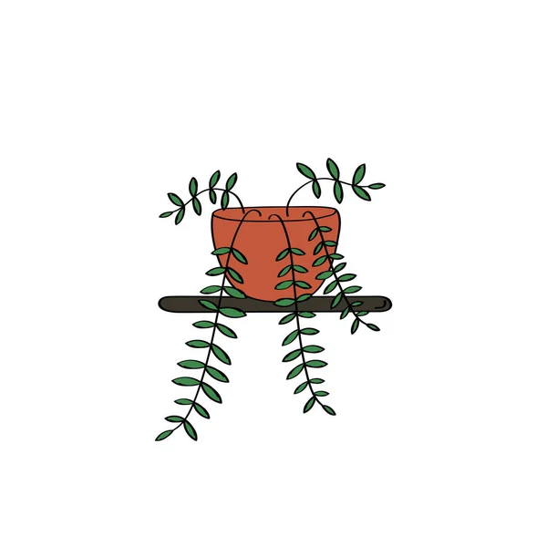 Tradescantia handgezeichnete Ikone. Illustration der Zimmerpflanze. Zimmerblumenschild. Vektor-Flachkritzelgrafik — Stockvektor