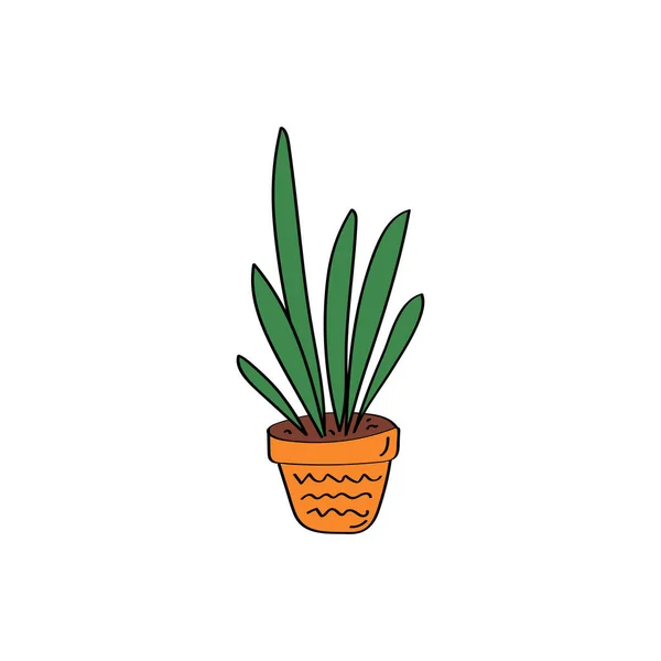 Sinal de sansevieria. Planta. Flores em vaso. ilustração do doodle vetor desenhado à mão — Vetor de Stock