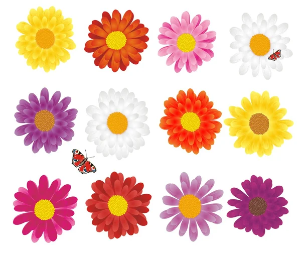 Kolorowe kwiaty — Wektor stockowy