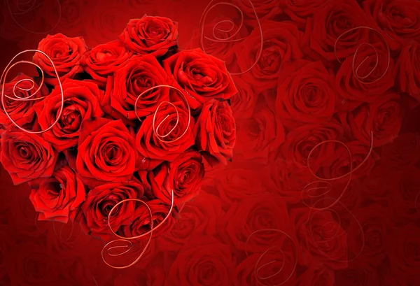 Background with roses — Stock Photo, Image