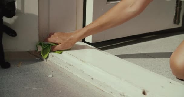 Mujer limpia el umbral de la puerta y se prepara para la pintura con un gato negro juguetón — Vídeo de stock