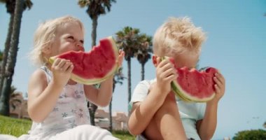 Küçük mutlu erkek ve kız kardeş parkta karpuz yiyor ve oynuyorlar. 