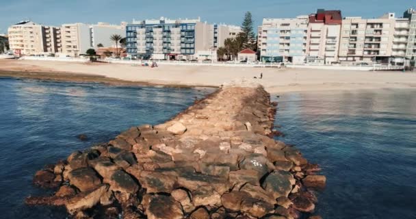 Unrecognisable man with dog strolling on beach at the morning drone fly along — Stock Video