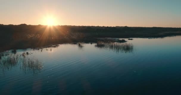Pemandangan matahari terbenam di alam taman dengung terbang di atas air asin danau — Stok Video