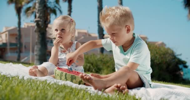 Lachende kinderen plukken een watermeloen terwijl ze op het groene gras in het park zitten. — Stockvideo