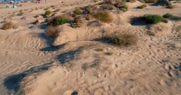Drone πετά χαμηλά πάνω από αμμόλοφους με θέα άγρια παραλία και toursit απολαμβάνοντας το καλοκαίρι — Αρχείο Βίντεο