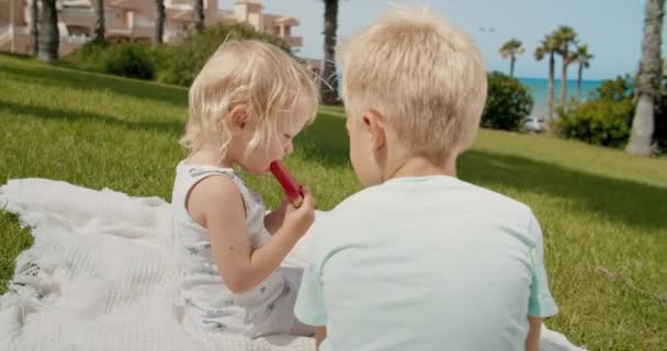 Glad pojke och flicka äter vattenmelon i en park med utsikt över havet på en solig dag — Stockvideo