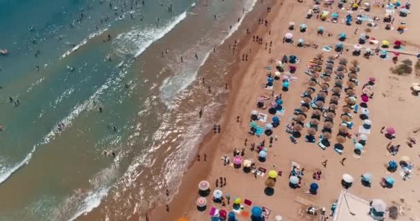 Drone πετά πάνω από πολλαπλές ομπρέλες στην παραλία la mata στην τουριστική πόλη το καλοκαίρι — Αρχείο Βίντεο