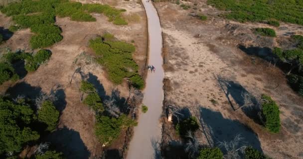 Veduta aerea di persone che vanno alla spiaggia selvaggia tramite strada attraversando pineta — Video Stock