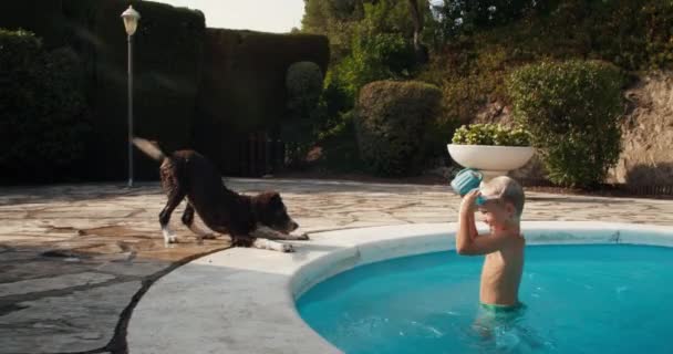Веселая игра пограничной собаки колли и счастливого ребенка на даче у бассейна — стоковое видео