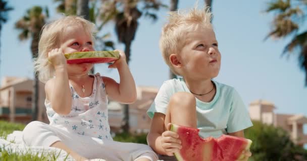 Glücklich lachende Kinder, die an einem sonnigen Tag draußen spielen und frische Wassermelonen essen — Stockvideo