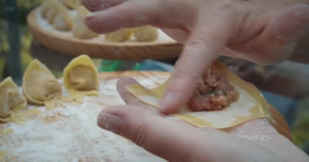 Mature femme mains fermer jusqu 'faire chinois nourriture wonton avec de la viande à l' extérieur — Video