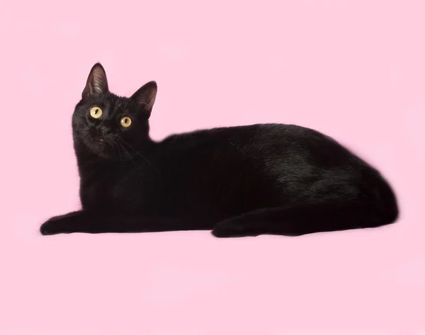 Black cat lying on pink — Stock Photo, Image