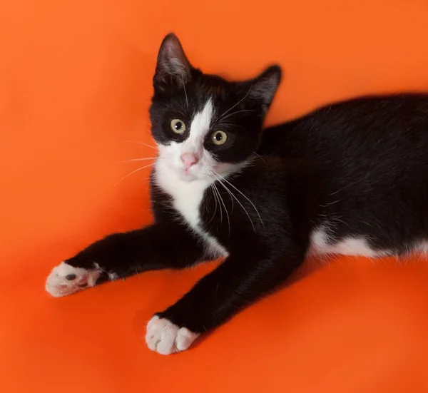 Chaton noir et blanc couché sur orange — Photo