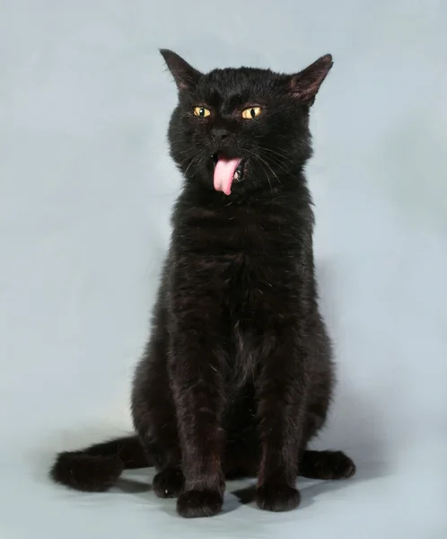 Black cat with yellow eyes sitting on gray — Stock Photo, Image