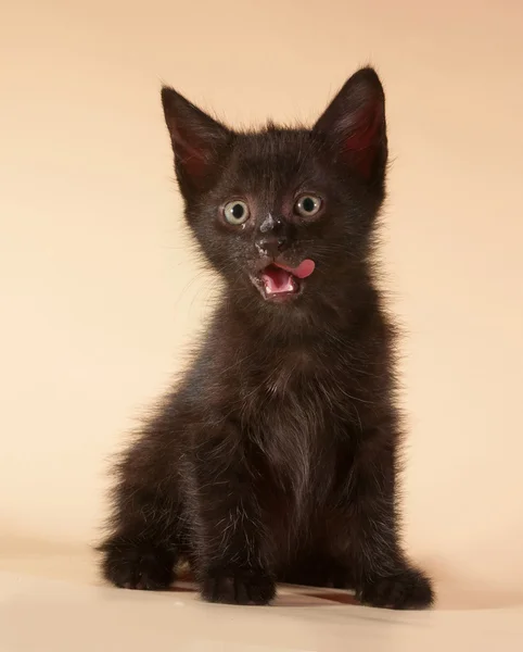 Black kitten sitting and licking on yellow — Stock Photo, Image