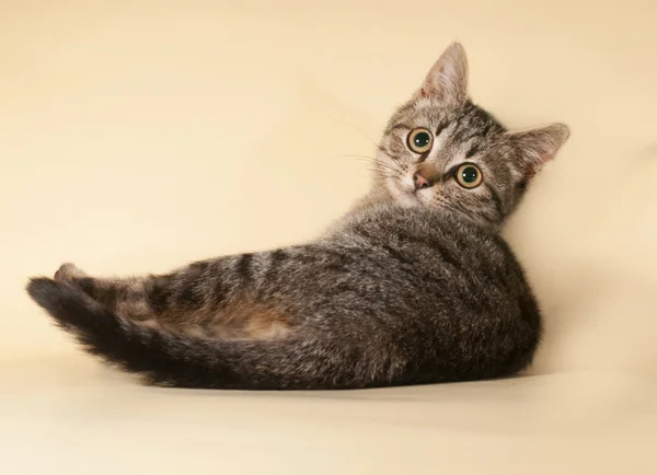 Gattino a strisce sdraiato sul giallo — Foto Stock
