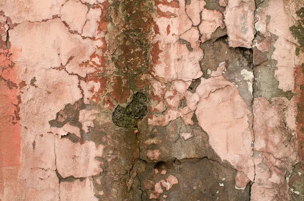 Textura de pared vieja cubierta con estuco rosa —  Fotos de Stock