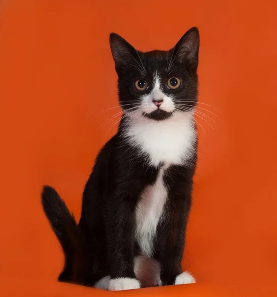 Gatinho preto e branco sentado na laranja — Fotografia de Stock