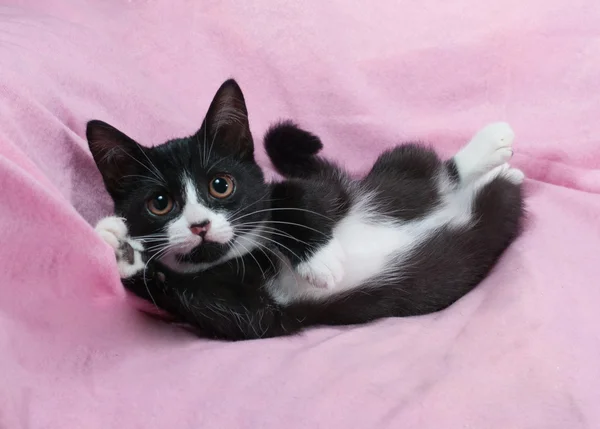 Gattino bianco e nero sdraiato sul rosa — Foto Stock