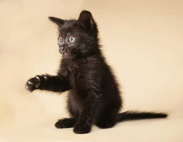 Black kitten sitting on yellow — Stock Photo, Image