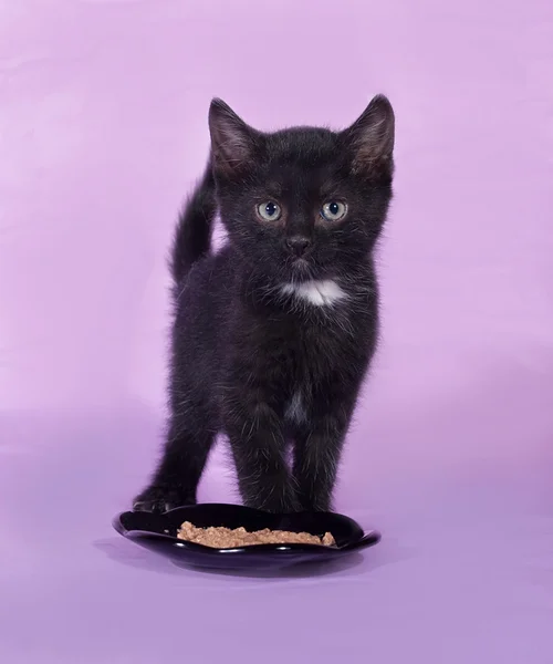 Black kitten with a white spot stands on lilac — Stock Photo, Image