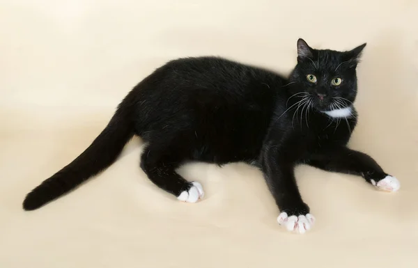Černá kočka s bílými skvrnami, které leží na žluté — Stock fotografie