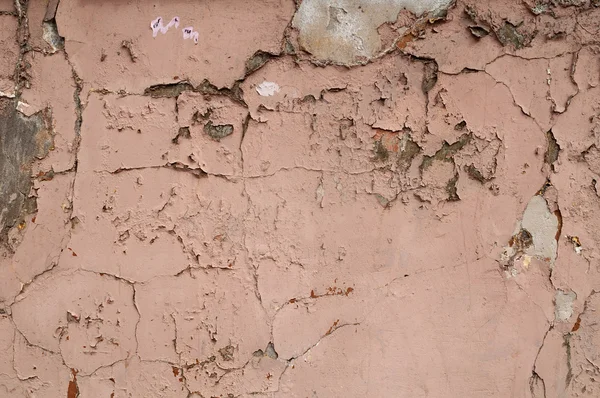 Textura de pared vieja cubierta con estuco rosa — Foto de Stock