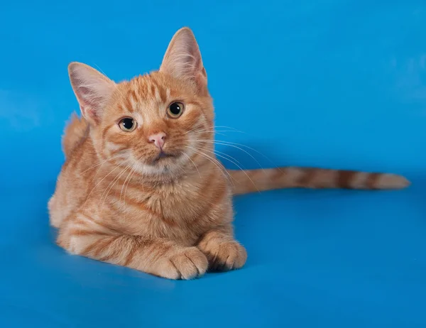 Ginger kattunge liggande på blå — Stockfoto