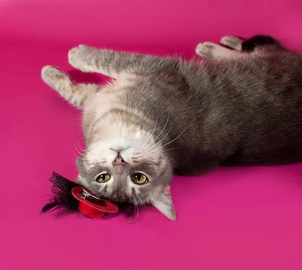 Striped gray cat with red hat lying on pink — Stock Photo, Image