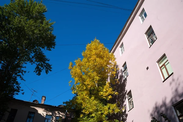 Patio en el casco antiguo con árboles de otoño —  Fotos de Stock