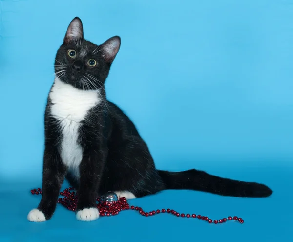 Zwart-witte kat met Christmas kralen ligt op blauwe — Stockfoto